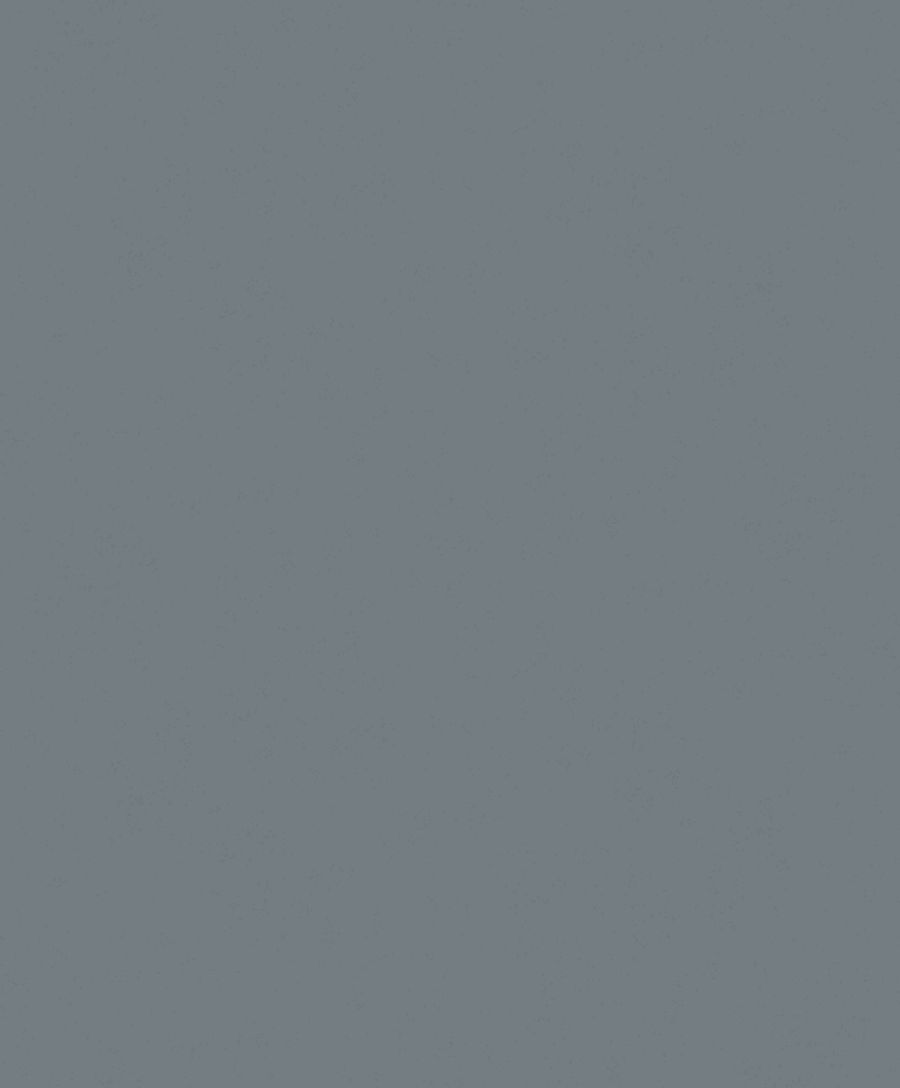 Fiona Concrete Experience 630425