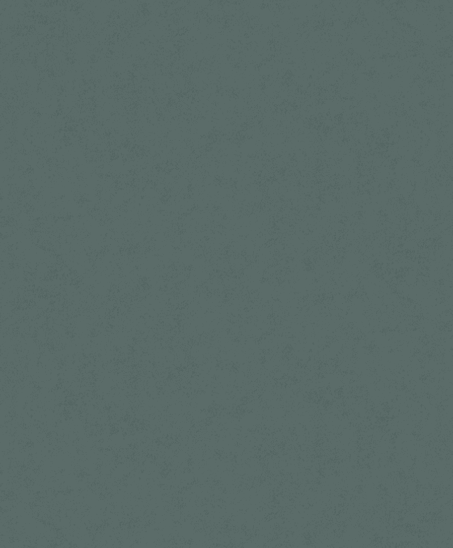 Fiona Concrete Experience 630427